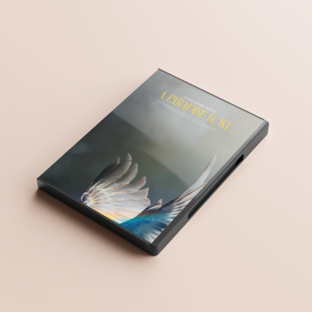 A Paradise Lost DVD